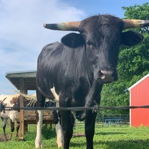 Meet your Posher, Daxton